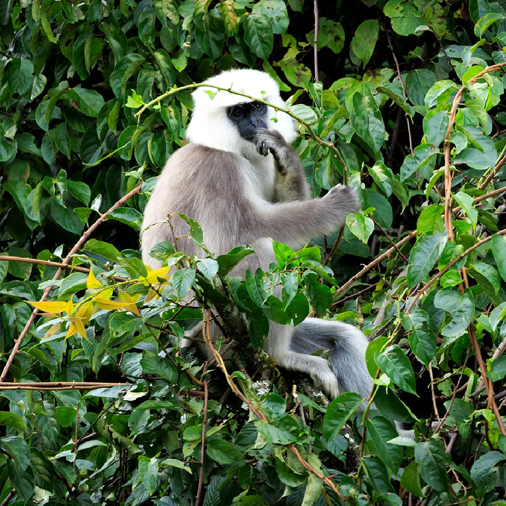 SPECIAL TOURS IMAGES-07