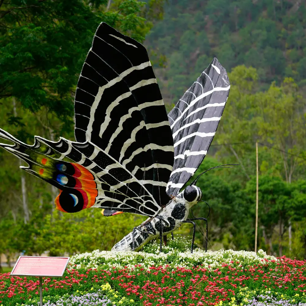 SPECIAL TOURS IMAGES-08